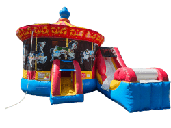 Carousel Combo Wet/Dry