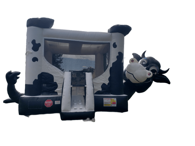 Cow Belly Bouncer