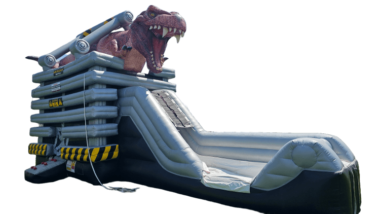 T-Rex Dinosaur Combo Wet/Dry