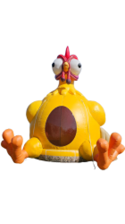 Bounce House Rentals